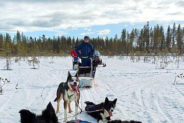 Rovaniemi Husky Safari Self Drive Adventure
