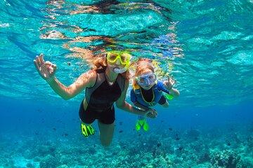 Saona Paradise Island : Catamaran, Natural Pool and Typical Lunch