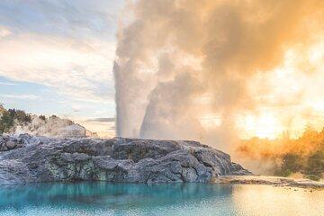 From Auckland : Small Group Tour to Te Puia & Wai Ariki Rotorua