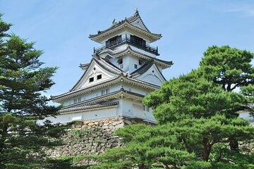 Shore Excursion Full Day Private Kochi Tour from Kochi port