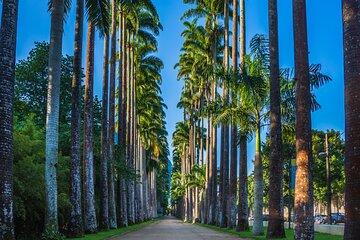 Private Rio Tour: Botanical Garden and Tijuca National Park