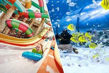 Yas Waterworld and The National Aquarium Tickets