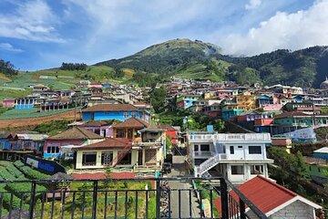 Nepal Van Java Selogriyo Temple and Optional Trekking Experience
