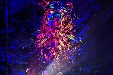 Whistler+Valea Lumina+Shanon Fall+Brandywine Fall+PorteauCoveTOUR