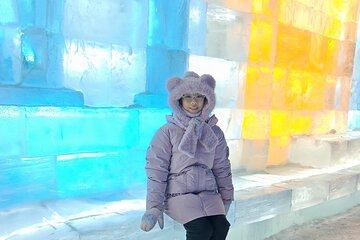 VIP Entrance Ticket to Harbin Ice and Snow World Private Day Tour