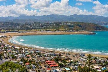 Wellington Coastal Self Drive Tour with an APP