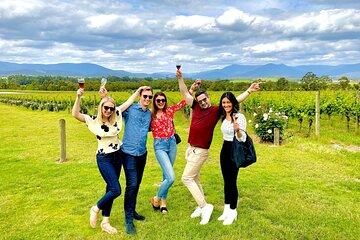 Relaxed Half Day Yarra Valley Wine Tasting Tour from Melbourne