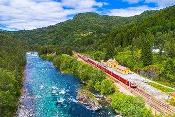 Flam Railway, Nærøyfjorden Cruise and Stegastein Viewpoint