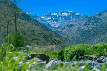 Imlil Valley Day Trip Luxurious 4x4 Tour with Berber Lunch