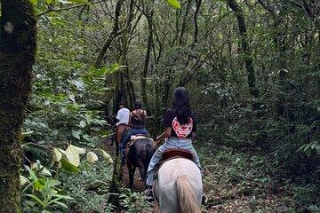 Horseback Riding Adventure in Boquete’s Cloud Forest (2 pax/min)