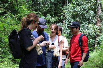 Mae Kampong Cooking Class Hike Forage and Feast