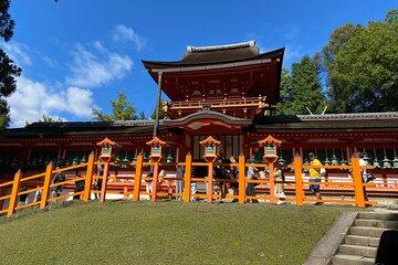 Nara Highlights Guided Tour by Private Car from Osaka