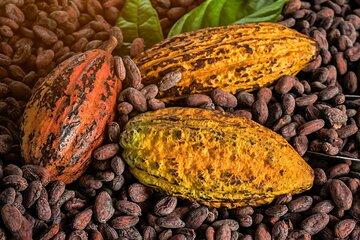 St Lucia Crop to Cup and Bean to Bar Tour