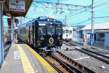 Wakayama Cat Stationmaster Adventure on the Kishigawa Line