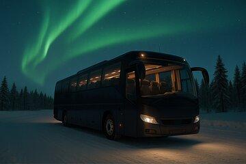 Rovaniemi Santa Claus & Northern Lights Experience