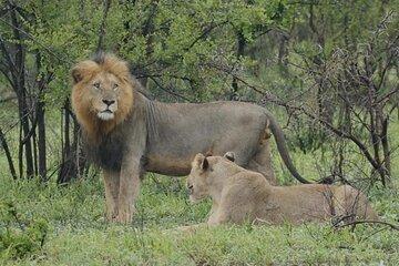 3 Days Johannesburg Kruger Safari Blyde River Canyon