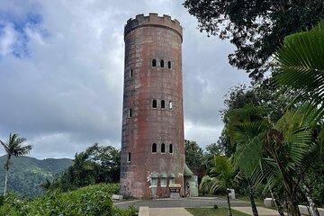 El Yunque Rainforest VIP Experience