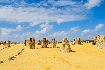 4WD Pinnacles Desert Turquoise Coast and Sand Boarding Adventure