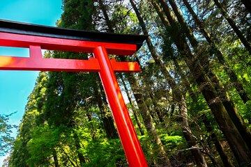 Kirishima Highlights from Kagoshima Port by Private Car