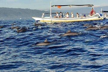 Lovina Dolphins & Highlights Tour