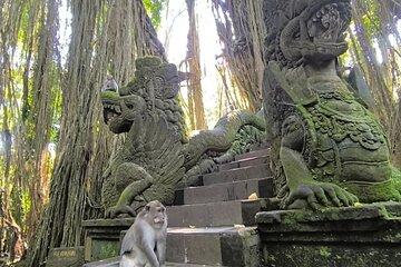 Ubud Highlights Tour