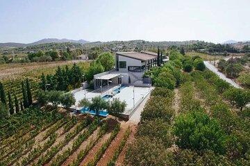 Private Wine Tour Athens Visit Experience