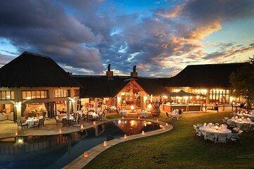 3 Days Ivory Tree Game Lodge Safari from Johannesburg OR Tambo