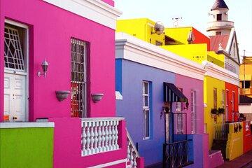 Cape Peninsula BoKaap Cape of Good Hope and Boulders Beach Tour