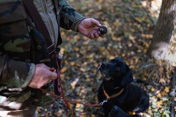 Truffle Hunt with Foie Gras & Wine Tasting near Budapest