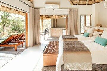 3 Day Tambuti Game Lodge Safari from Johannesburg
