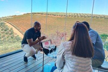 Cape Winelands Private Wine Tasting Tour