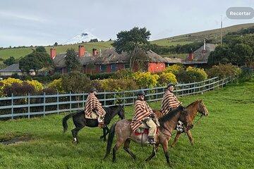 Cotopaxi National Park with Horseback Riding