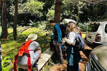 Half-Day Tours to Antsiranana Amber Mountain