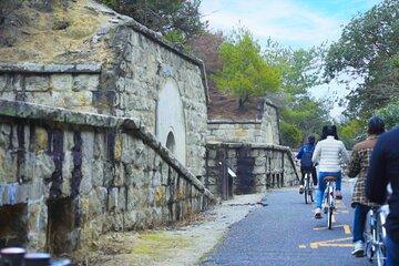 Private Okunoshima Rabbit Island Cycling Tour with Local Guide
