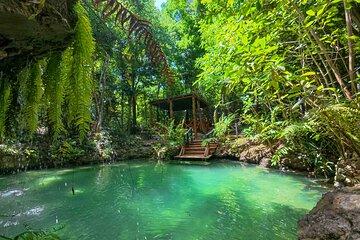 4x4 Jungle Thrills Off Road Buggy Adventure to Cenote and Beach