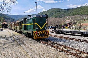 From Belgrade: Shargan Eight Train and Tara National Park