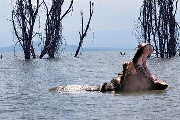 Day Trip Hells Gate Bike Ride and Lake Naivasha Boat Ride