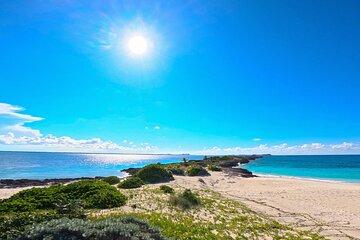 Island Skipper Private Half Day Snorkel Experience