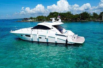 Saona Island Private Yacht Tour