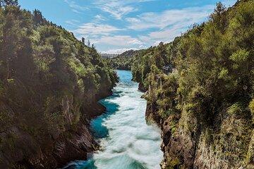 Rotorua to Auckland via Taupo and Hamilton Gardens Tour (one-way)