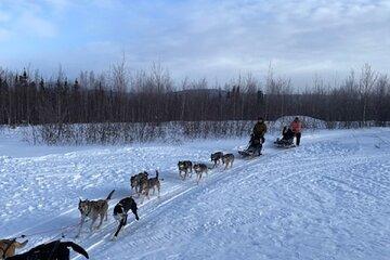 2-Hour Basic Dog Mushing School (without transportation)