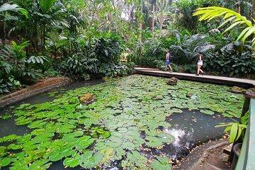 Garden of Sleeping Giant Tour with Tifajek Mud Pool and Hotspring