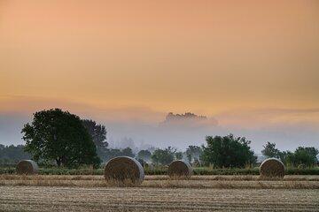 Stirling Castle, Kelpies, Falkirk Wheel, Cows Half Day Tour