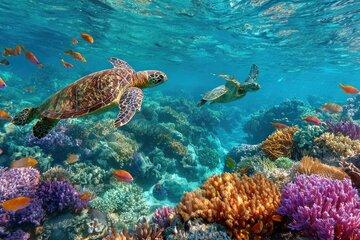 Catalina Island even more unspoilt than Saona Island