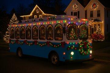 Dyker Lights Christmas Trolley Experience
