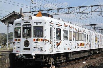 Osaka DEP. : Wakayama Day Trip with Lunch and Train Ride