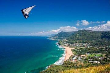 Jervis Bay Full Day Tour Dolphin Cruise and Delicious Donuts