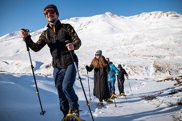 Bokun Free Product 1