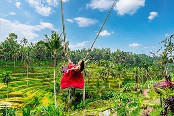 Jungle Swing, Monkey Forest, Rice Terrace and Temple Tour in Bali