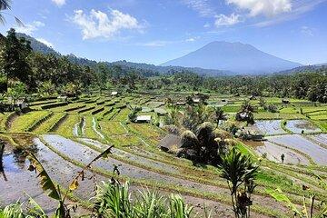 Sidemen Natya River Private Car Adventure